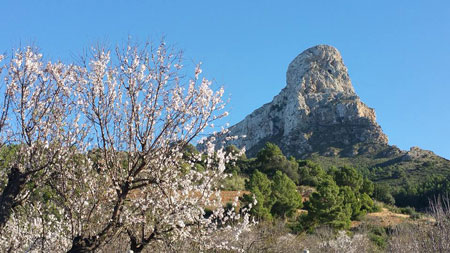 Engelsrufer Mallorca